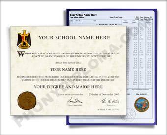 Fake Diploma and Transcripts from Egypt University Egypt D&T